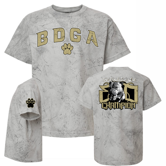 BDGA Colorblast Tee - Youth